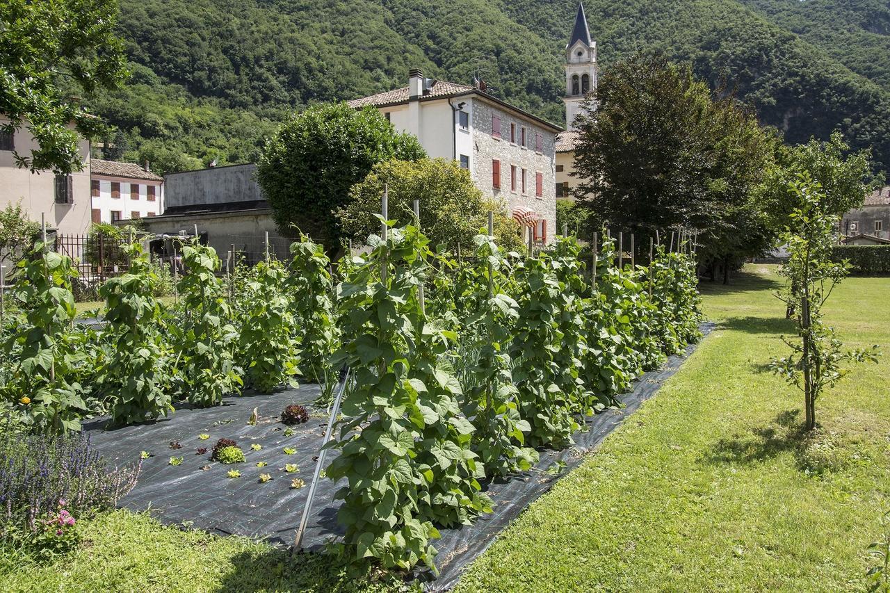Locanda Solagna Quero Extérieur photo